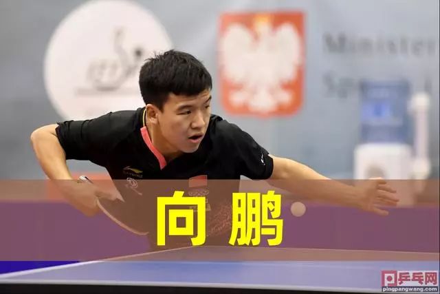 是肉眼可见 是肉眼可见